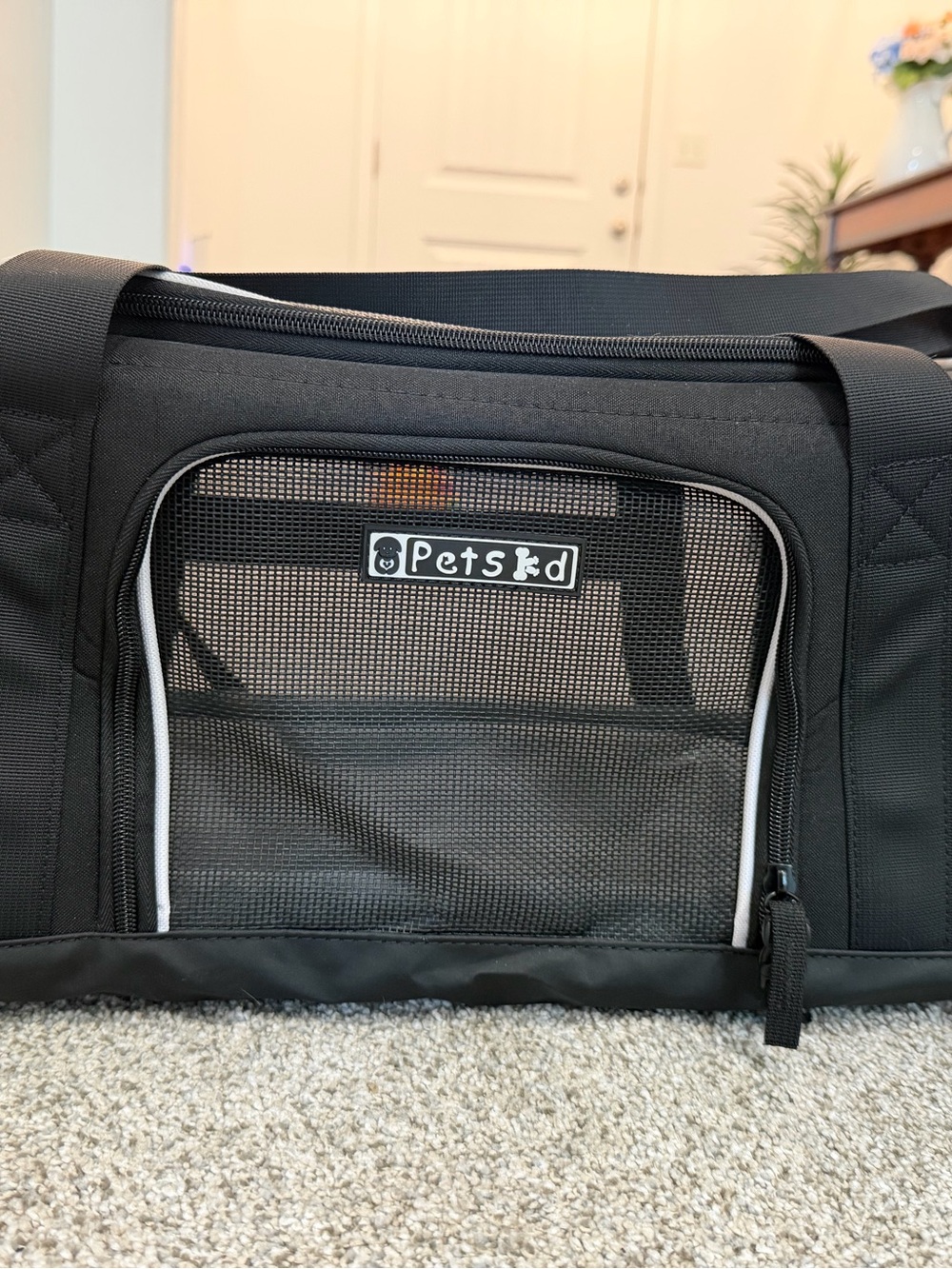 Petskd pet carrier